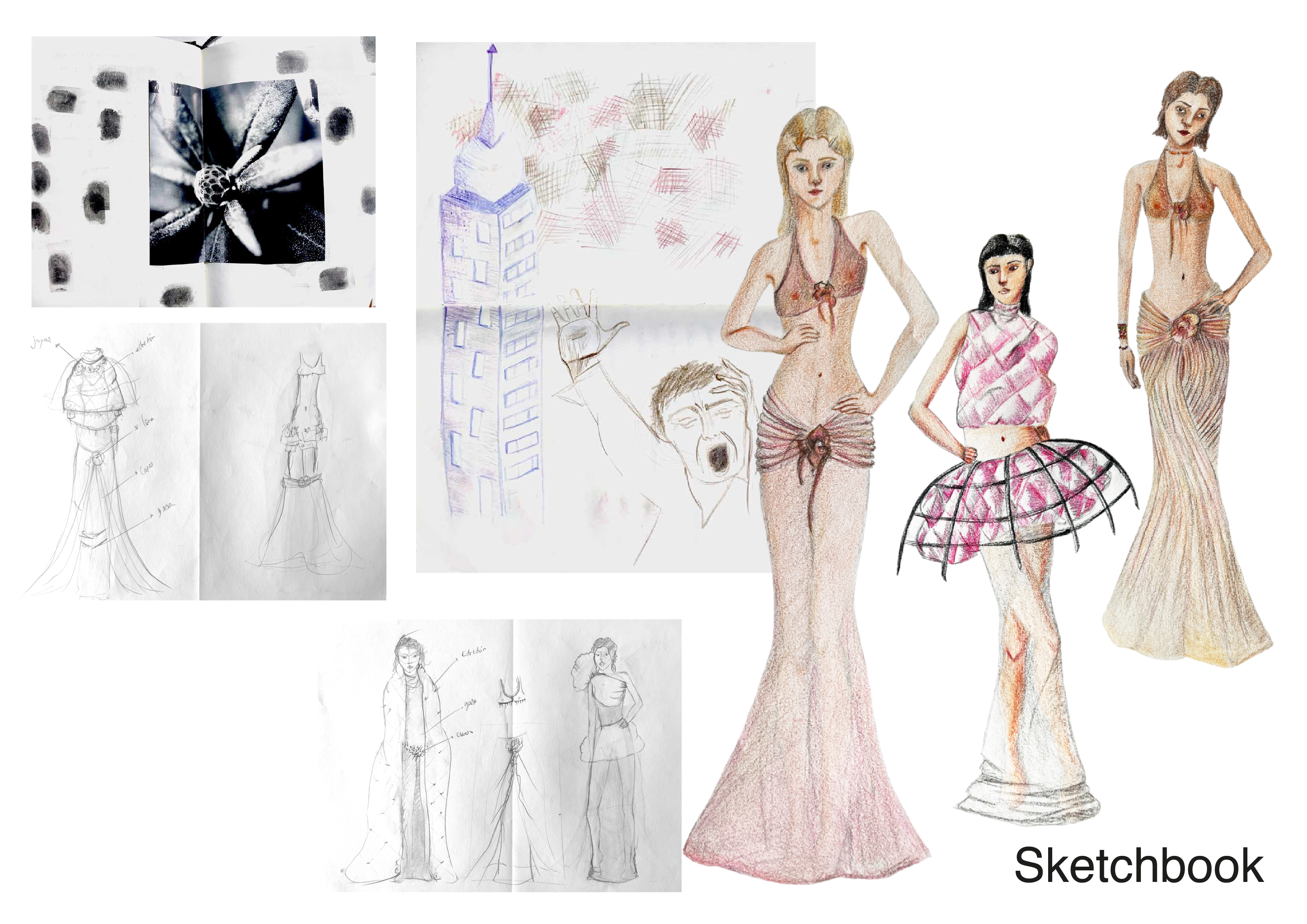 foto eline que parece una flor